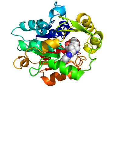Protein-Drug Interaction